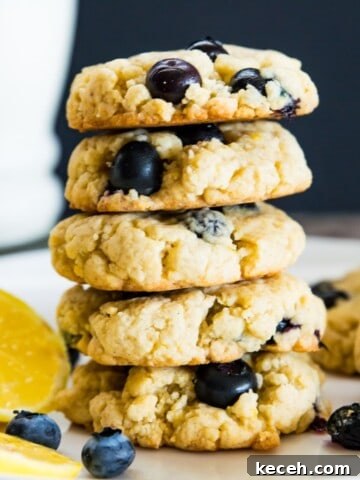 A stack of five lemon blueberry cookies on a plate with lemon slices.