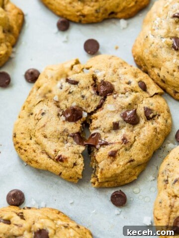 A batch of coffee cookies on a baking sheet with chocolate chips around them.