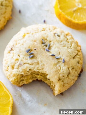 A lemon lavender cookie on a baking sheet with a bite out of it and surrounded by lemon slices.