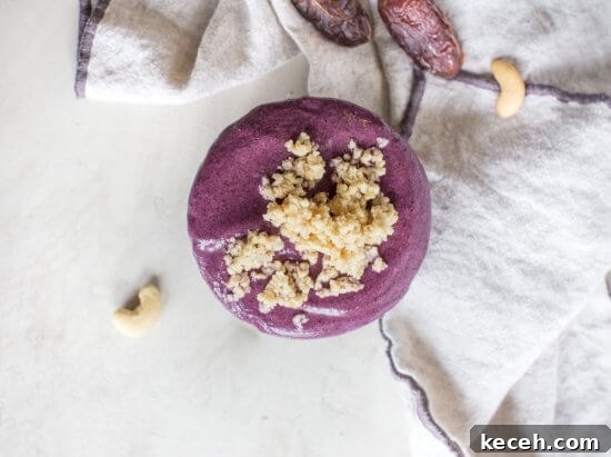 Vegan Blueberry Cheesecake Smoothie Bowl Recipe 5 vegan blueberry smoothie with wild blueberries, almond milk, dates, and cashews