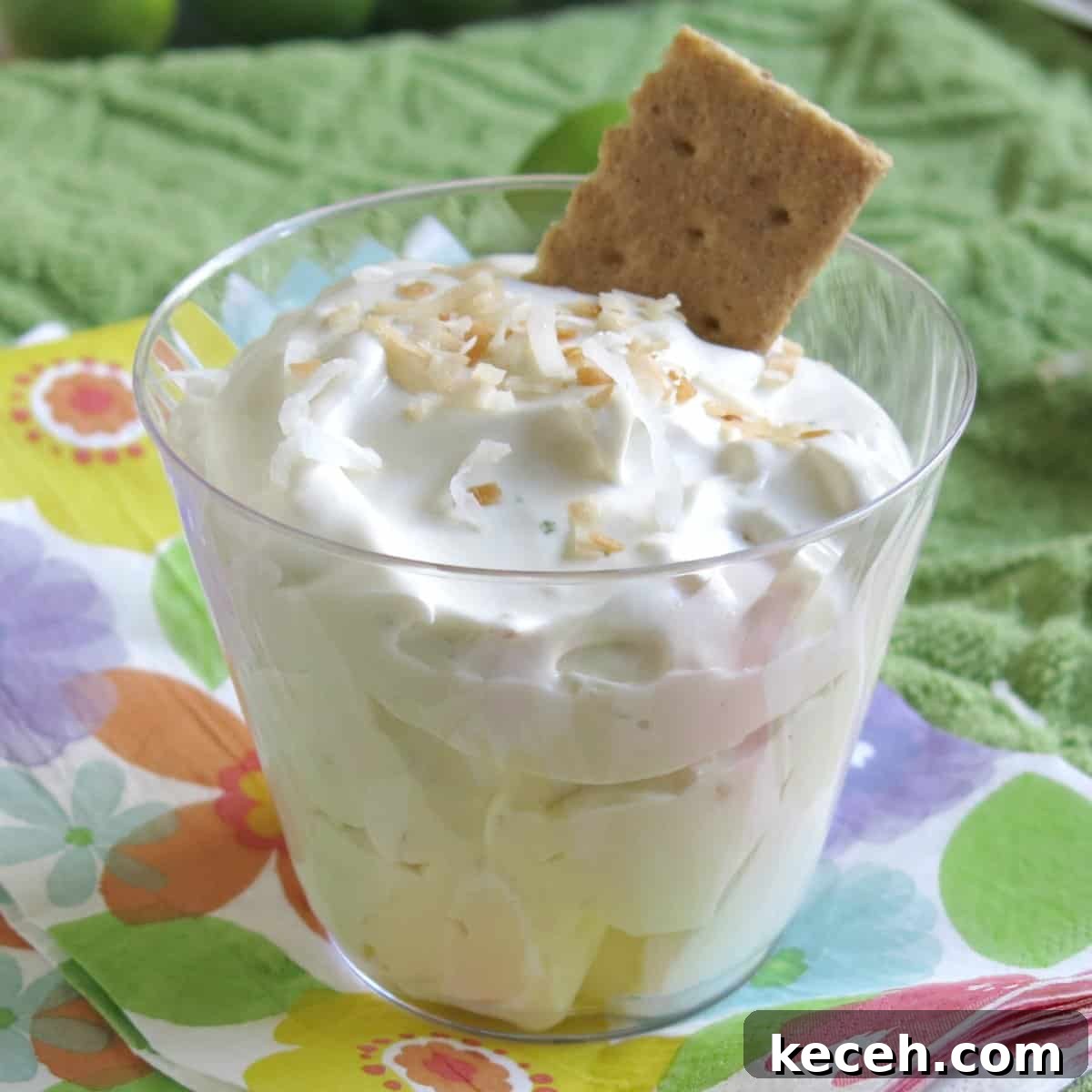 Key Lime Pie Dip Recipe in a cup with graham cracker dipped in one side.