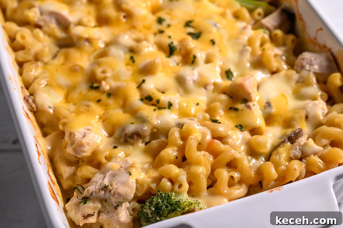 condensed soup, chicken broth, salt, pepper, garlic powder, onion powder, broccoli, raw chicken, uncooked cavatappi pasta, and cheese in a baking dish.