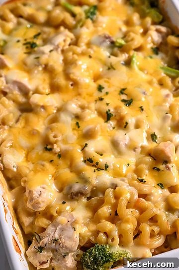 condensed soup, chicken broth, salt, pepper, garlic powder, onion powder, broccoli, raw chicken, uncooked cavatappi pasta, and cheese in a baking dish.