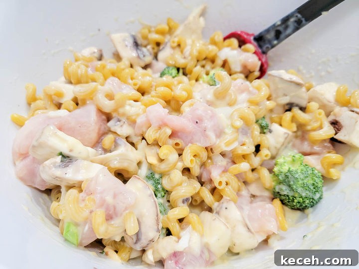 condensed soup, chicken broth, salt, pepper, garlic powder, onion powder, broccoli, raw chicken, and uncooked cavatappi pasta mixed in a bowl.