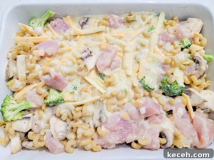 condensed soup, chicken broth, salt, pepper, garlic powder, onion powder, broccoli, raw chicken, and uncooked cavatappi pasta in a baking dish.