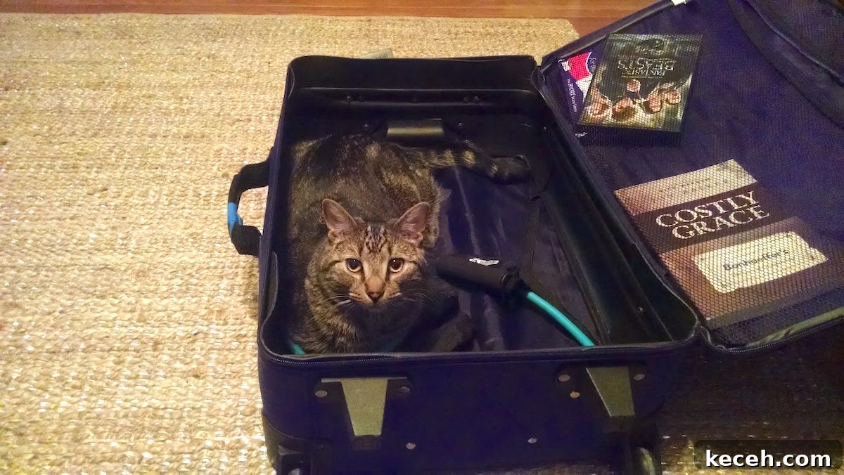 Five Tips for Traveling AIP and Paleo - A helpful post on planning, packing, and preparing for a vacation while on a special AIP or Paleo diet | fedandfulfilled.com