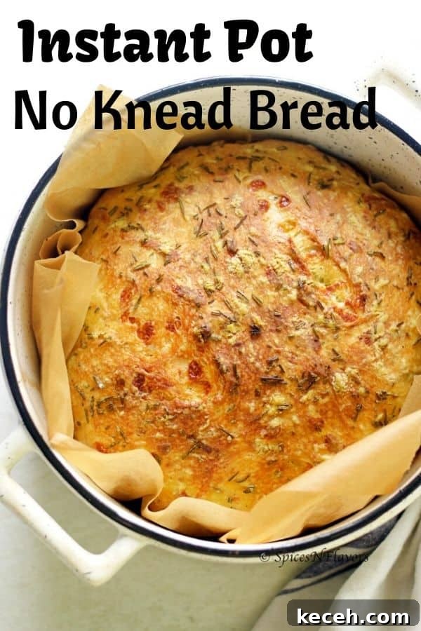 Instant Pot No-Knead Bread: Foolproof Recipe & Step-by-Step Guide 2 Fresh baked bread in a dutch oven shot overhead showing the rise and golden crust