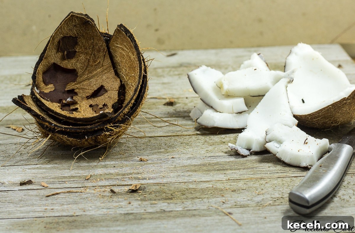 Toasted Coconut Flakes: Sweet Coconut Snack Recipe 9 Easy Way to Open a Coconut