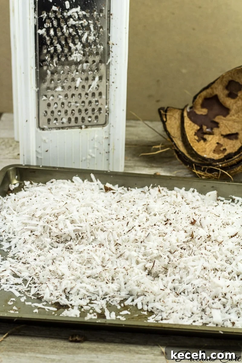 Toasted Coconut Flakes: Sweet Coconut Snack Recipe 10 Homemade Shredded Coconut