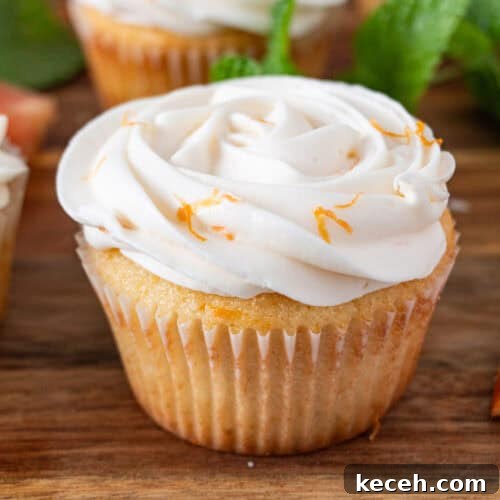 grapefruit cupcakes featured image.