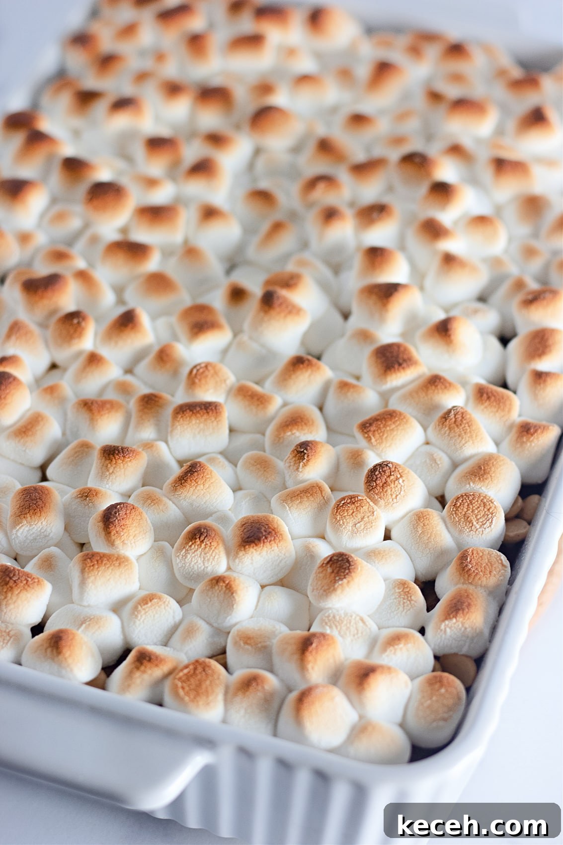 Fudgy S'mores Brownies Made from Scratch 7 brownies in baking pan with marshmallows on top