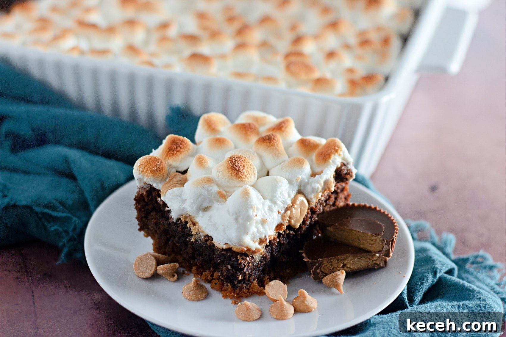 Fudgy S'mores Brownies Made from Scratch 8 close shot of chocolate brownie smores