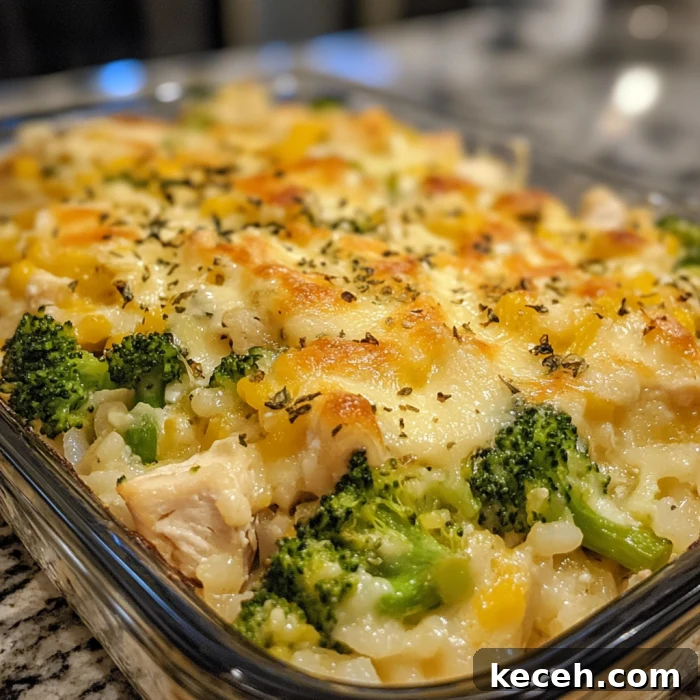 Cheesy Chicken, Broccoli, and Rice Casserole Recipe 2 img 4523 1