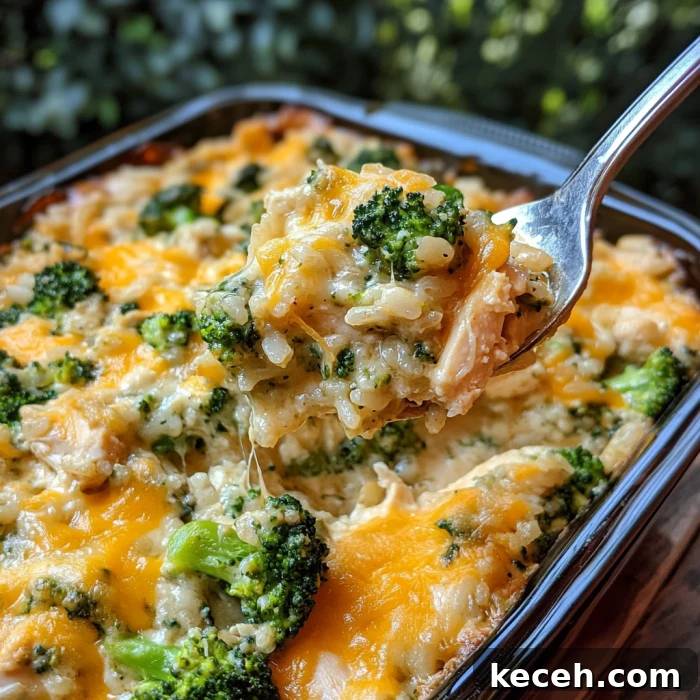 Cheesy Chicken, Broccoli, and Rice Casserole Recipe 3 img 4523 2
