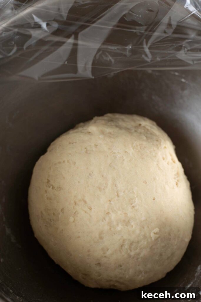 Wool bread dough after first knead by hand.
