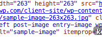Regenerate Specific WordPress Images Quickly with WP-CLI