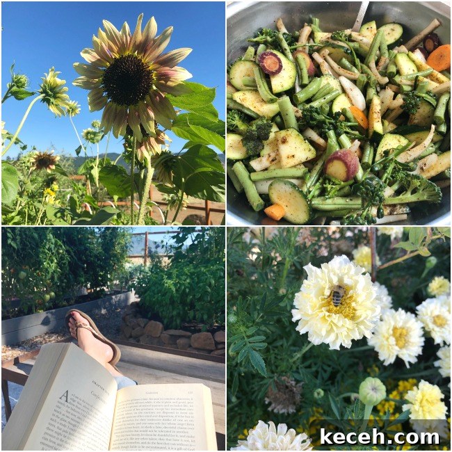 Good Things #29: Summer Finds—Garlic, Goji Berries, Books & More 3 enjoying summer collage-flowers-reading-vegetables