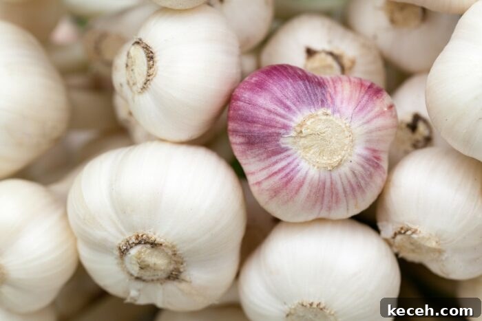 Good Things #29: Summer Finds—Garlic, Goji Berries, Books & More 4 garlic heads