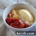 Quick Cherry Cobbler Recipe for Sweet, Homemade Dessert 3 Quick Cherry Cobbler from www.ApronFreeCooking.com