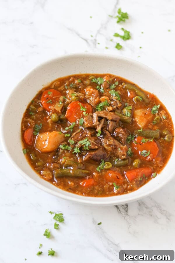 Hearty Beef and Vegetable Stew Recipe for Comforting Dinners 2 beef and vegetable stew in a white bowl