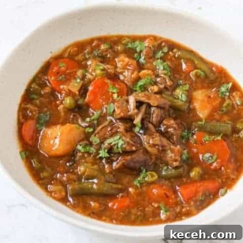 beef and vegetable stew in a white bowl