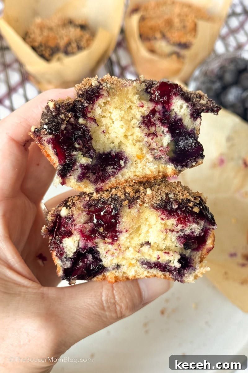 Irresistible Blueberry Crumb Muffins Recipe 2 holding a homemade blueberry muffin that's been cut in half to show detail.