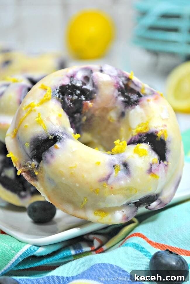 Irresistible Blueberry Crumb Muffins Recipe 11 lemon blueberry donuts.