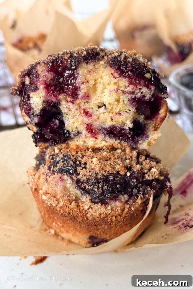 Irresistible Blueberry Crumb Muffins Recipe 7 two blueberry muffins stacked on top of each other.