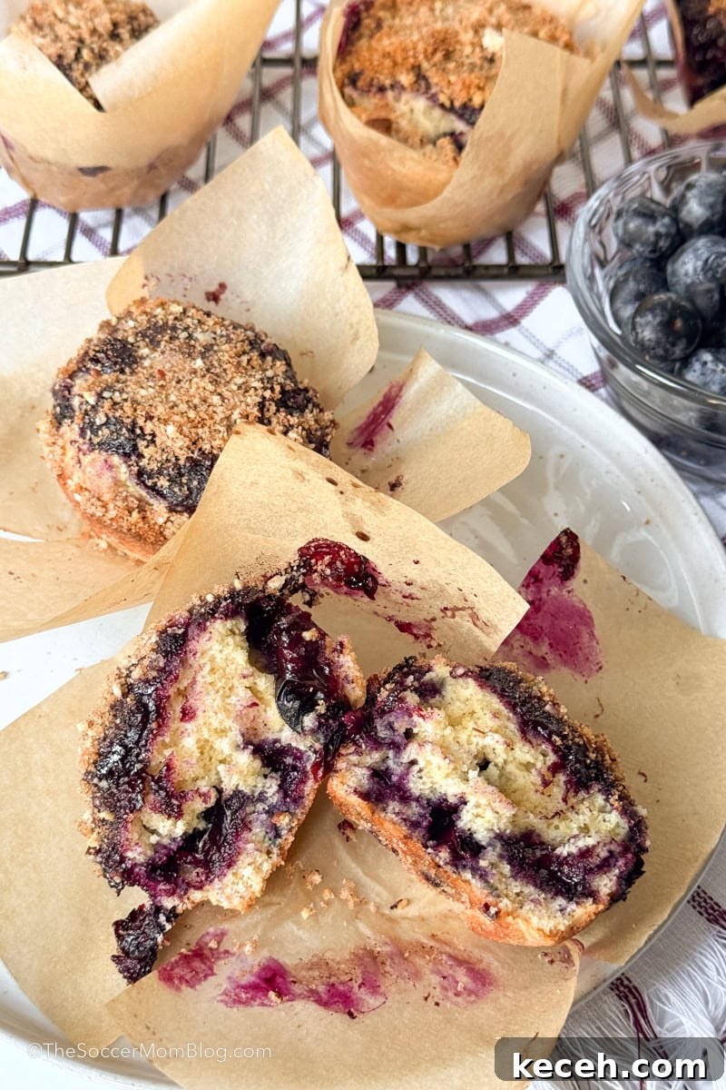 Irresistible Blueberry Crumb Muffins Recipe 8 a blueberry crumb muffin, cut in half on a plate.