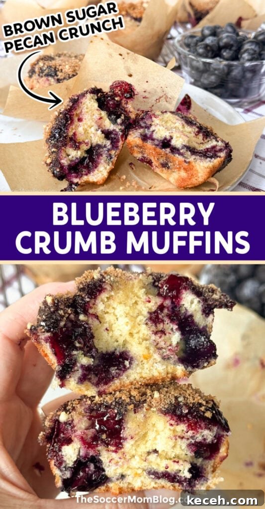 Irresistible Blueberry Crumb Muffins Recipe 10 Blueberry Crumb Muffins Pinterest Image.