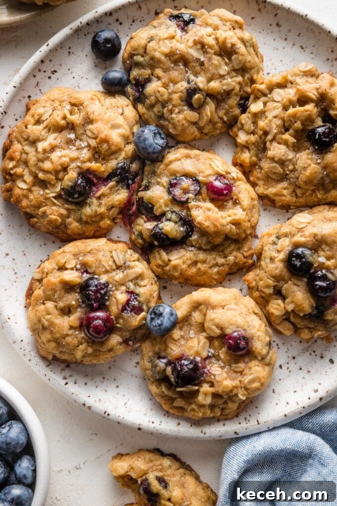 Chewy Blueberry Oatmeal Cookies Recipe for Soft Baked Treats 2 Close up of tender, chewy blueberry oatmeal cookies on a small white plate.