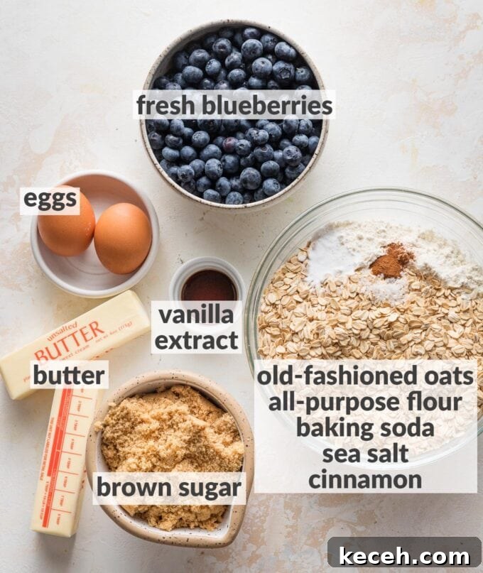 Chewy Blueberry Oatmeal Cookies Recipe for Soft Baked Treats 3 Labeled overhead photo of cookie ingredients -- flour, oats, baking soda, cinnamon, brown sugar, eggs, butter, vanilla, and blueberries -- all measured into prep bowls and ready to bake.
