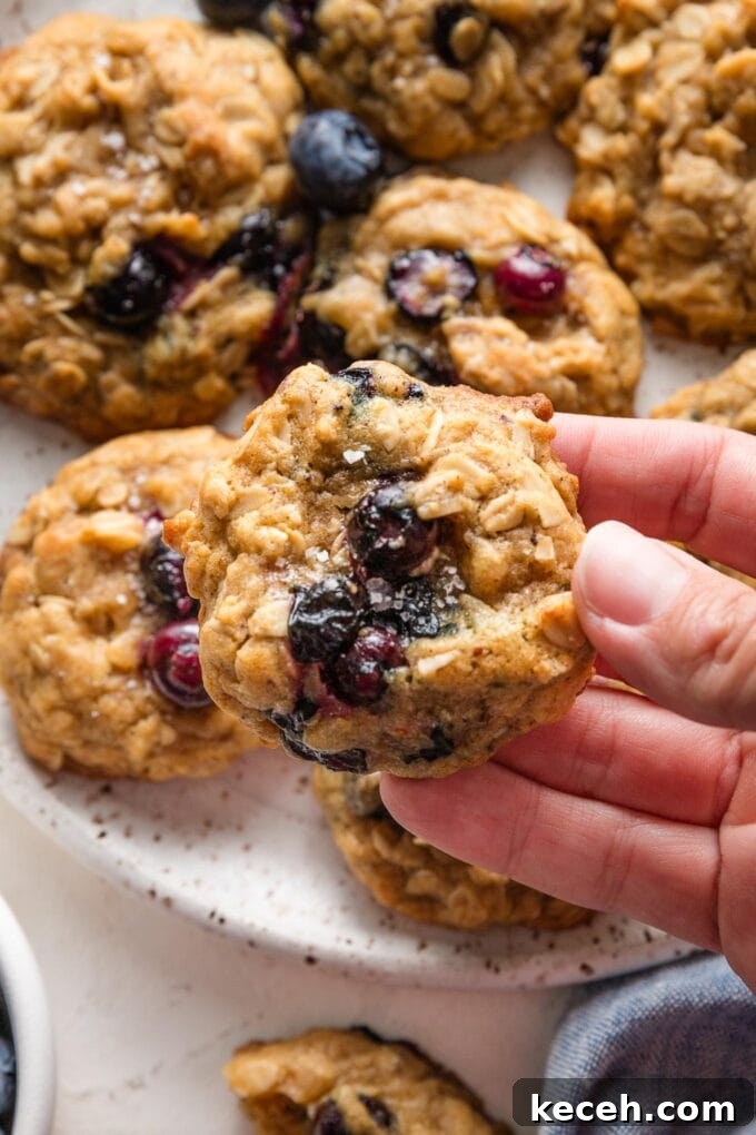 Chewy Blueberry Oatmeal Cookies Recipe for Soft Baked Treats 5 Hand holding up a small blueberry oatmeal cookie to show the soft texture of the cookie studded with juicy blueberries and nutty old-fashioned oats.
