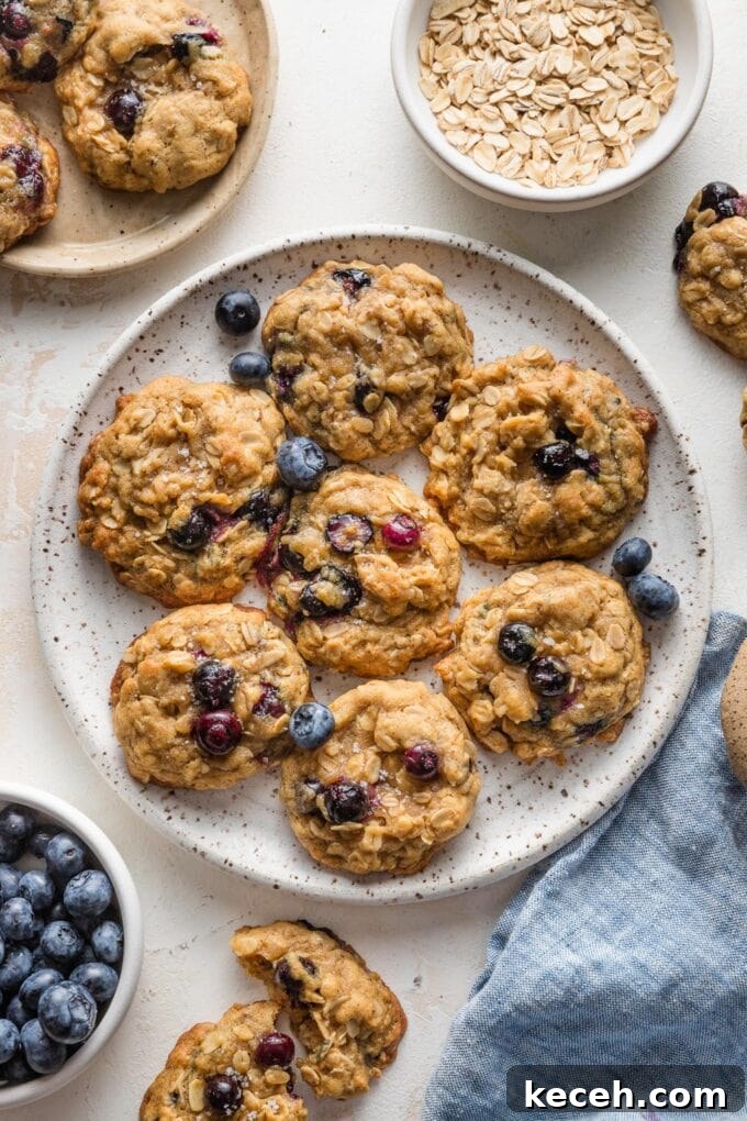Chewy Blueberry Oatmeal Cookies Recipe for Soft Baked Treats 6 Countertop scattered with blueberry oatmeal cookies, extra blueberries, extra oats, and sea salt.