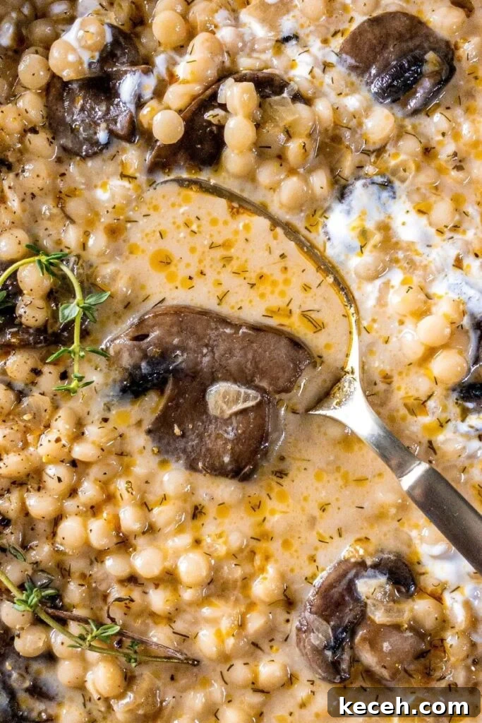 Creamy Mushroom and Pearl Couscous Soup Recipe 3 Mushroom Soup- Must Love Garlic