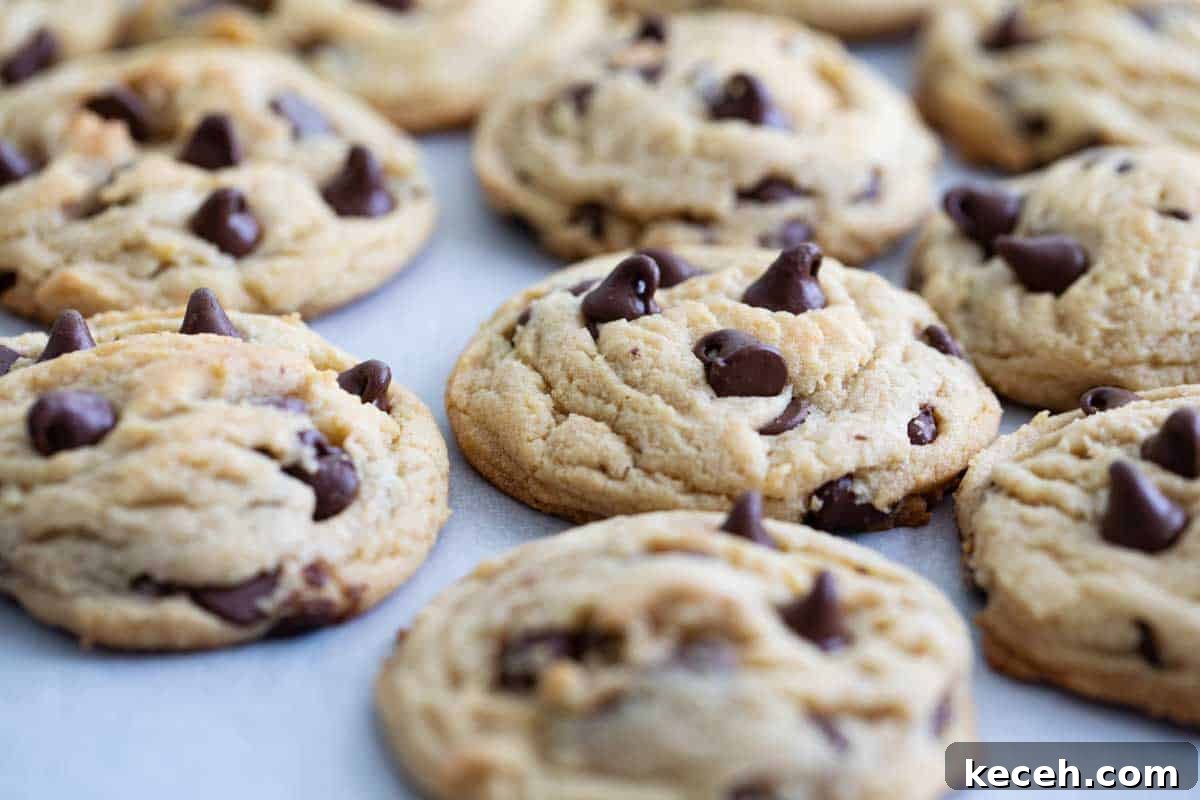 Chocolate Chip Pudding Cookies pudding cookies with chocolate chips