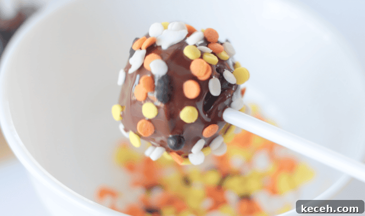brownie pop dipped in chocoalte
