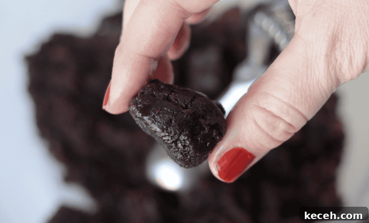 mashed brownies shaped into a ghost shape