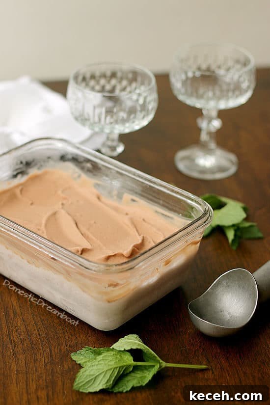 Creamy Chocolate Coconut Ice Cream (Dairy-Free Recipe) 2 Dairy Free Chocolate Coconut Ice Cream