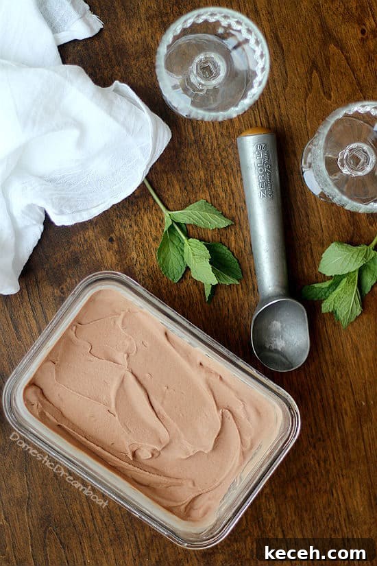 Creamy Chocolate Coconut Ice Cream (Dairy-Free Recipe) 3 Dairy Free Chocolate Coconut Ice Cream