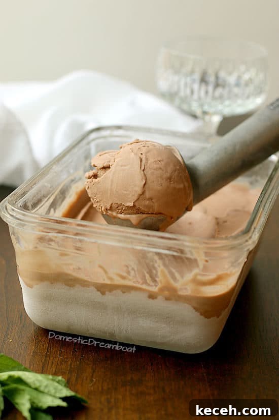 Creamy Chocolate Coconut Ice Cream (Dairy-Free Recipe) 4 Dairy Free Chocolate Coconut Ice Cream