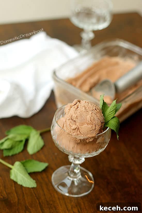 Creamy Chocolate Coconut Ice Cream (Dairy-Free Recipe) 5 Dairy Free Chocolate Coconut Ice Cream