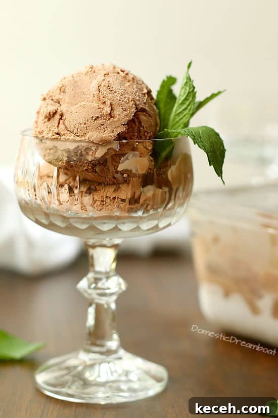 Creamy Chocolate Coconut Ice Cream (Dairy-Free Recipe) 6 Dairy Free Chocolate Coconut Ice Cream
