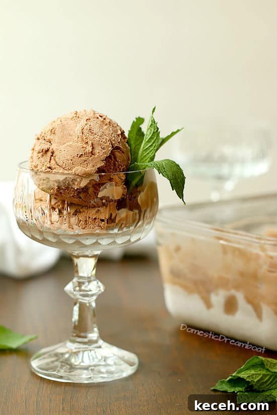 Creamy Chocolate Coconut Ice Cream (Dairy-Free Recipe) 7 Dairy Free Chocolate Coconut Ice Cream