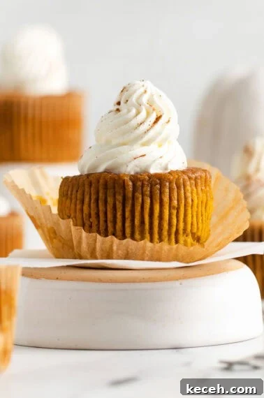 pumpkin pie cupcake with wrapper off topped with whipped cream