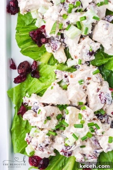 Cranberry Pecan Chicken Salad is creamy, crunchy, and filling. Juicy chicken cranberry, pecan, and apple with a creamy dressing.