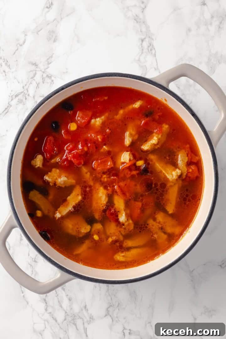 Simmer. Overhead view of enchilada soup before simmering
