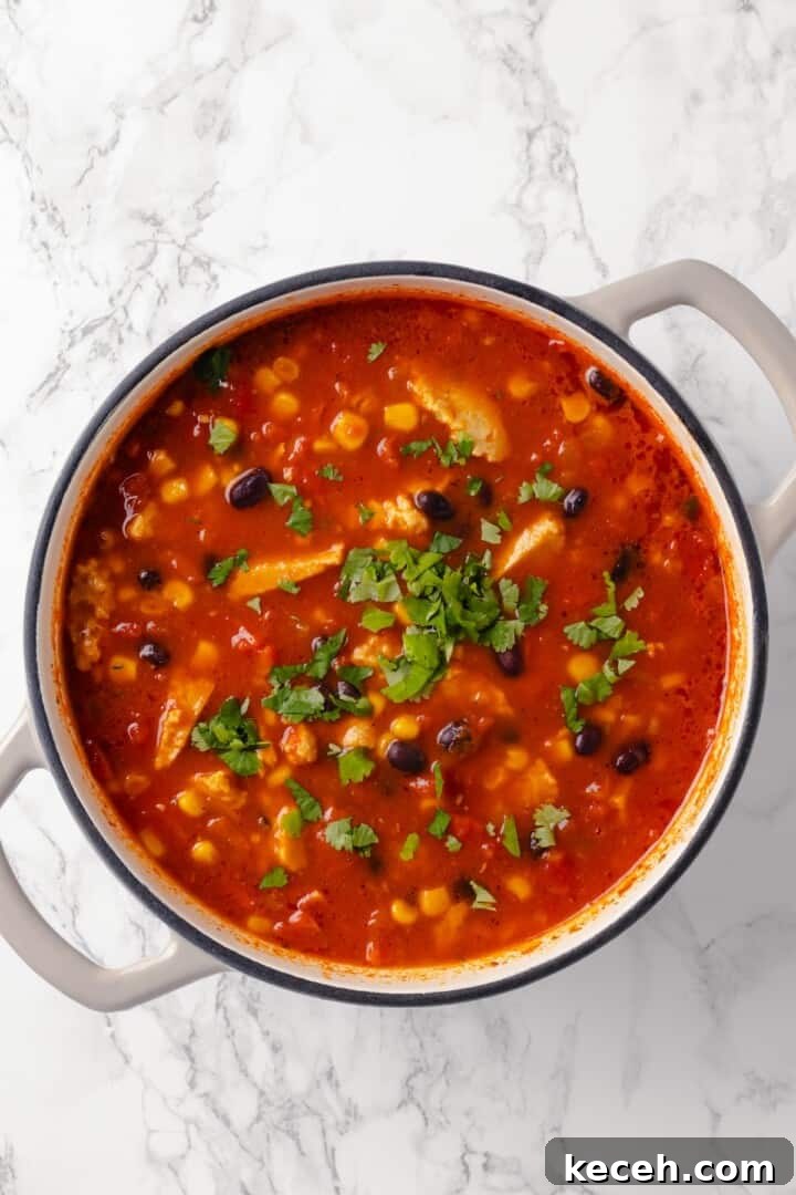 Stir in the lime juice and cilantro, then serve. Overhead view of vegan enchilada soup with cilantro added