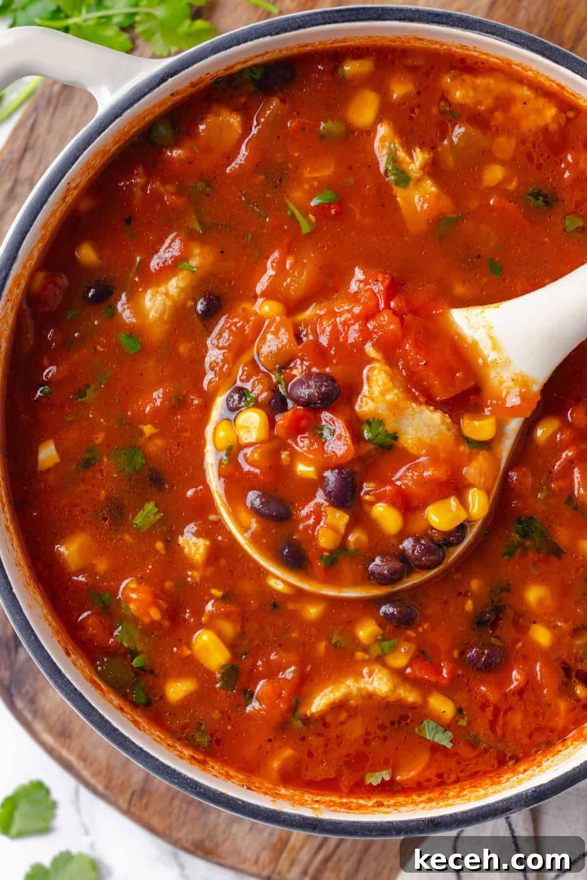 This vegan enchilada soup recipe has the flavor of enchiladas in a hearty bowl of soup. Loaded with beans, plant-based chicken and more! Ladleful of enchilada soup in Dutch oven