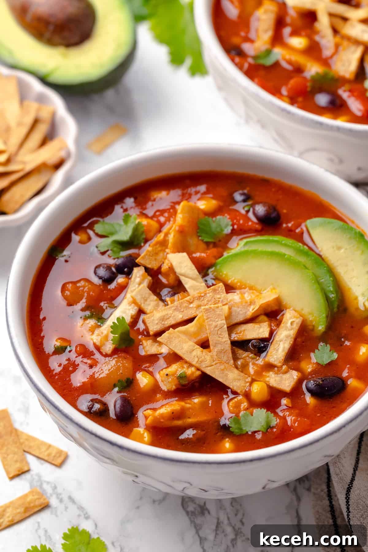This vegan enchilada soup recipe has the flavor of enchiladas in a hearty bowl of soup. Loaded with beans, plant-based chicken and more! Bowl of enchilada soup with crispy tortilla strips